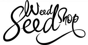 WeedSeedShop 
